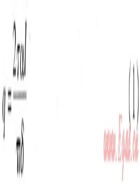 真空管太陽能集熱系統(tǒng)溫度場(chǎng)、速度場(chǎng)模擬