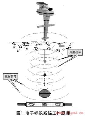 電子標識系統(tǒng)的技術經(jīng)濟分析