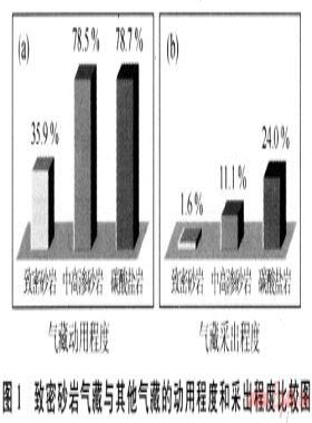 中國(guó)非常規(guī)天然氣資源基礎(chǔ)與開發(fā)技術(shù)