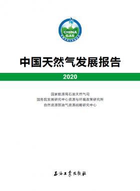 2020中國(guó)天然氣發(fā)展報(bào)告（含2017、2018、2019、2020）